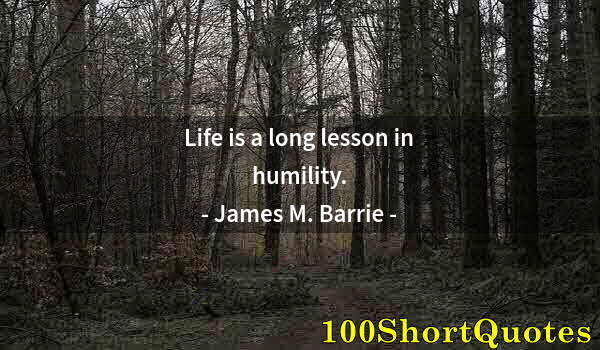 Quote by Albert Einstein: Life is a long lesson in humility.