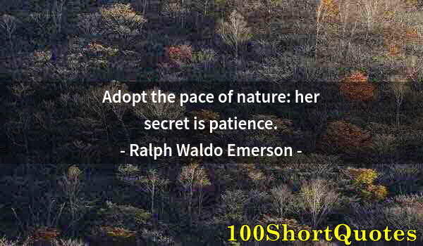 Quote by Albert Einstein: Adopt the pace of nature: her secret is patience.