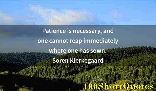 Quote by Albert Einstein: Patience is necessary, and one cannot reap immediately where one has sown.