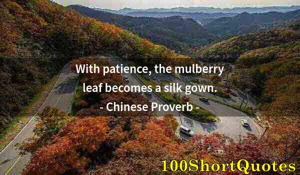 Quote by Albert Einstein: With patience, the mulberry leaf becomes a silk gown.