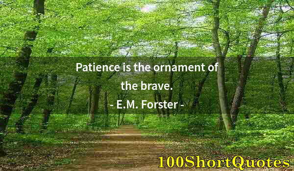 Quote by Albert Einstein: Patience is the ornament of the brave.