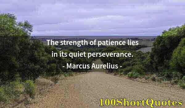 Quote by Albert Einstein: The strength of patience lies in its quiet perseverance.