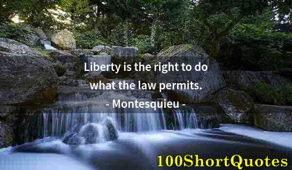 Quote by Albert Einstein: Liberty is the right to do what the law permits.