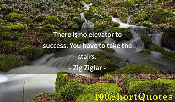 Quote by Albert Einstein: There is no elevator to success. You have to take the stairs.