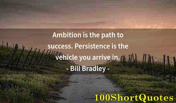 Quote by Albert Einstein: Ambition is the path to success. Persistence is the vehicle you arrive in.