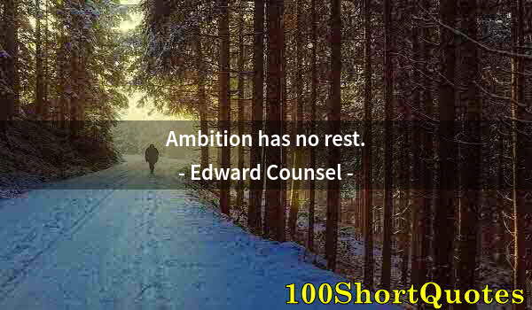Quote by Albert Einstein: Ambition has no rest.