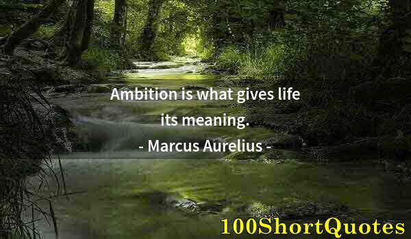 Quote by Albert Einstein: Ambition is what gives life its meaning.