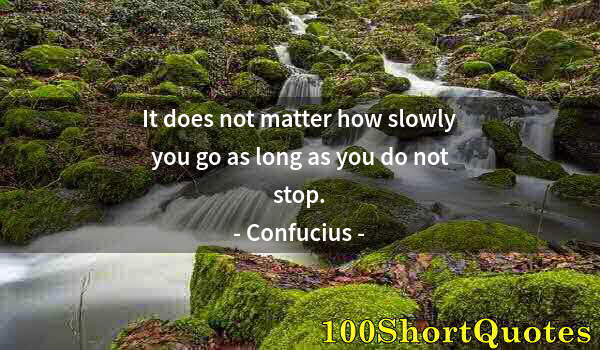 Quote by Albert Einstein: It does not matter how slowly you go as long as you do not stop.