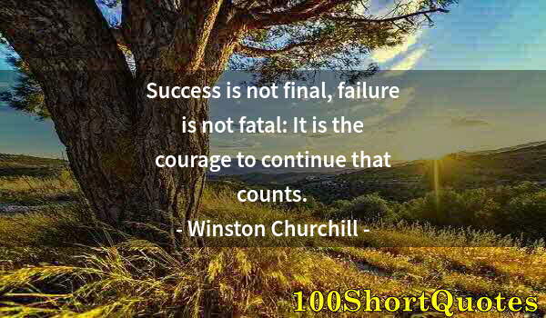 Quote by Albert Einstein: Success is not final, failure is not fatal: It is the courage to continue that counts.