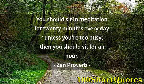 Quote by Albert Einstein: You should sit in meditation for twenty minutes every day ? unless you’re too busy; then you should ...