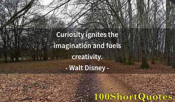 Quote by Albert Einstein: Curiosity ignites the imagination and fuels creativity.