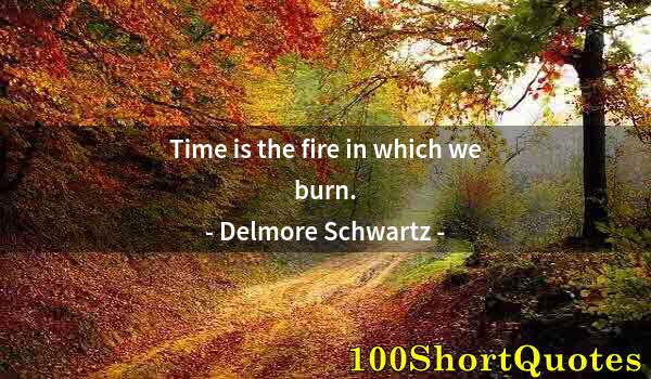 Quote by Albert Einstein: Time is the fire in which we burn.