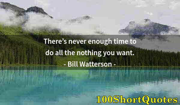 Quote by Albert Einstein: There’s never enough time to do all the nothing you want.