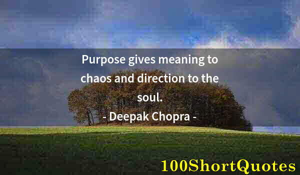 Quote by Albert Einstein: Purpose gives meaning to chaos and direction to the soul.