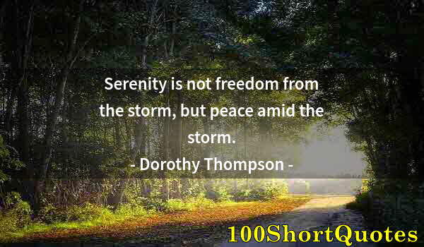 Quote by Albert Einstein: Serenity is not freedom from the storm, but peace amid the storm.