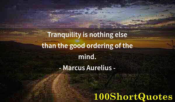 Quote by Albert Einstein: Tranquility is nothing else than the good ordering of the mind.