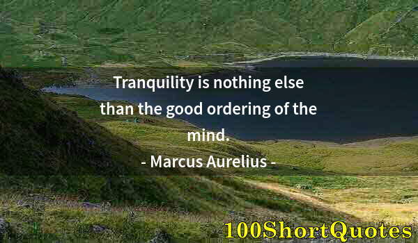Quote by Albert Einstein: Tranquility is nothing else than the good ordering of the mind.