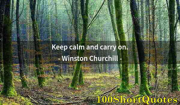 Quote by Albert Einstein: Keep calm and carry on.