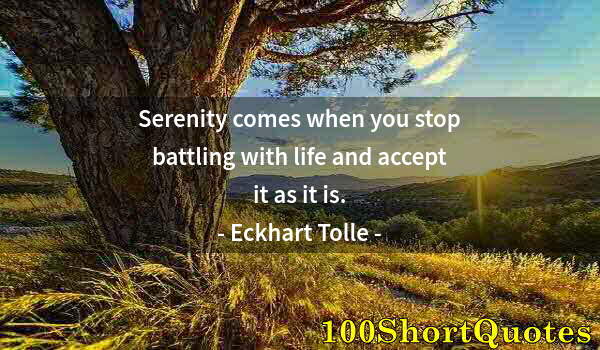 Quote by Albert Einstein: Serenity comes when you stop battling with life and accept it as it is.