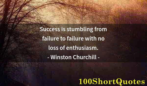 Quote by Albert Einstein: Success is stumbling from failure to failure with no loss of enthusiasm.