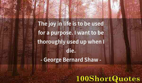 Quote by Albert Einstein: The joy in life is to be used for a purpose. I want to be thoroughly used up when I die.