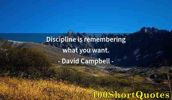 Quote by Albert Einstein: Discipline is remembering what you want.