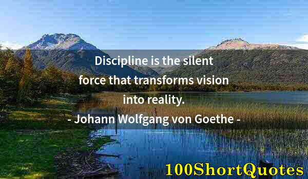 Quote by Albert Einstein: Discipline is the silent force that transforms vision into reality.
