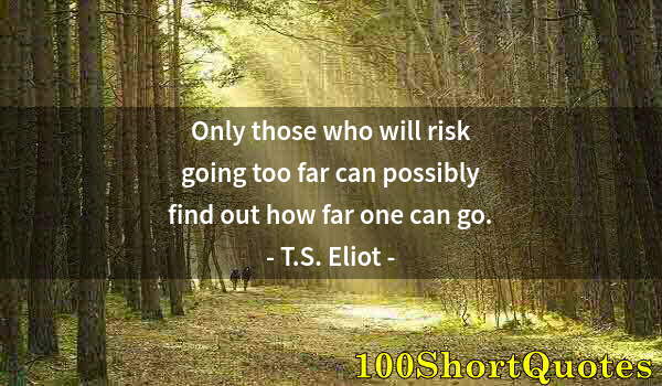 Quote by Albert Einstein: Only those who will risk going too far can possibly find out how far one can go.