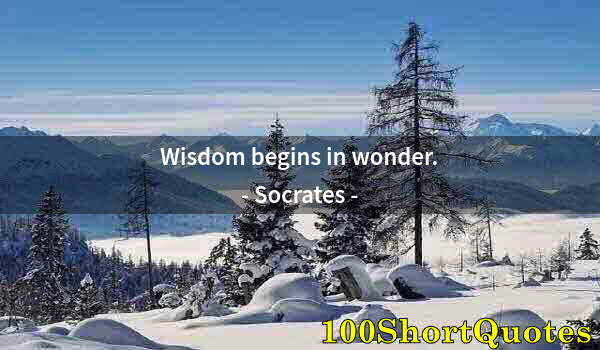 Quote by Albert Einstein: Wisdom begins in wonder.