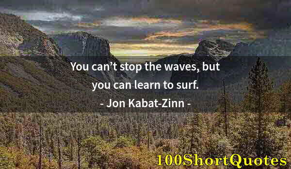 Quote by Albert Einstein: You can’t stop the waves, but you can learn to surf.