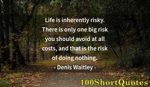 Quote by Albert Einstein: Life is inherently risky. There is only one big risk you should avoid at all costs, and that is the ...