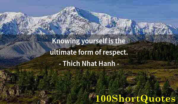 Quote by Albert Einstein: Knowing yourself is the ultimate form of respect.