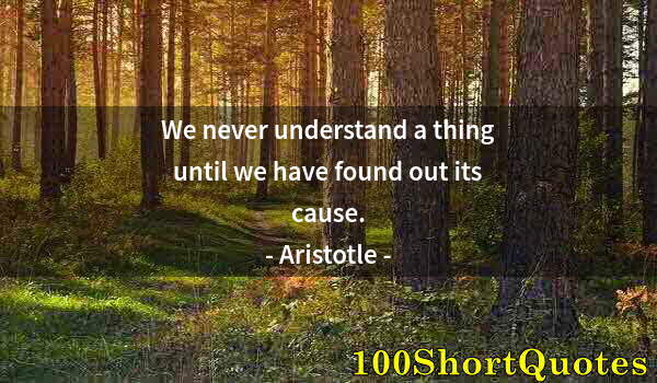 Quote by Albert Einstein: We never understand a thing until we have found out its cause.