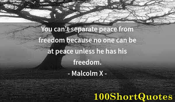 Quote by Albert Einstein: You can’t separate peace from freedom because no one can be at peace unless he has his freedom.