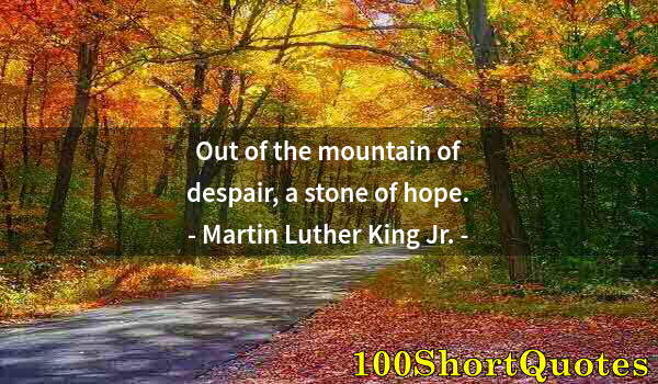Quote by Albert Einstein: Out of the mountain of despair, a stone of hope.