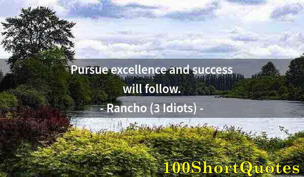 Quote by Albert Einstein: Pursue excellence and success will follow.