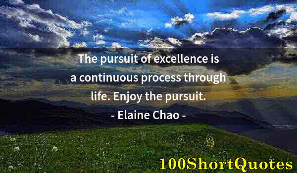 Quote by Albert Einstein: The pursuit of excellence is a continuous process through life. Enjoy the pursuit.
