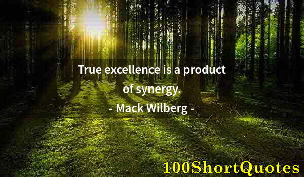 Quote by Albert Einstein: True excellence is a product of synergy.