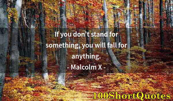 Quote by Albert Einstein: If you don’t stand for something, you will fall for anything.