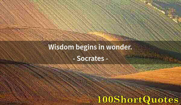 Quote by Albert Einstein: Wisdom begins in wonder.